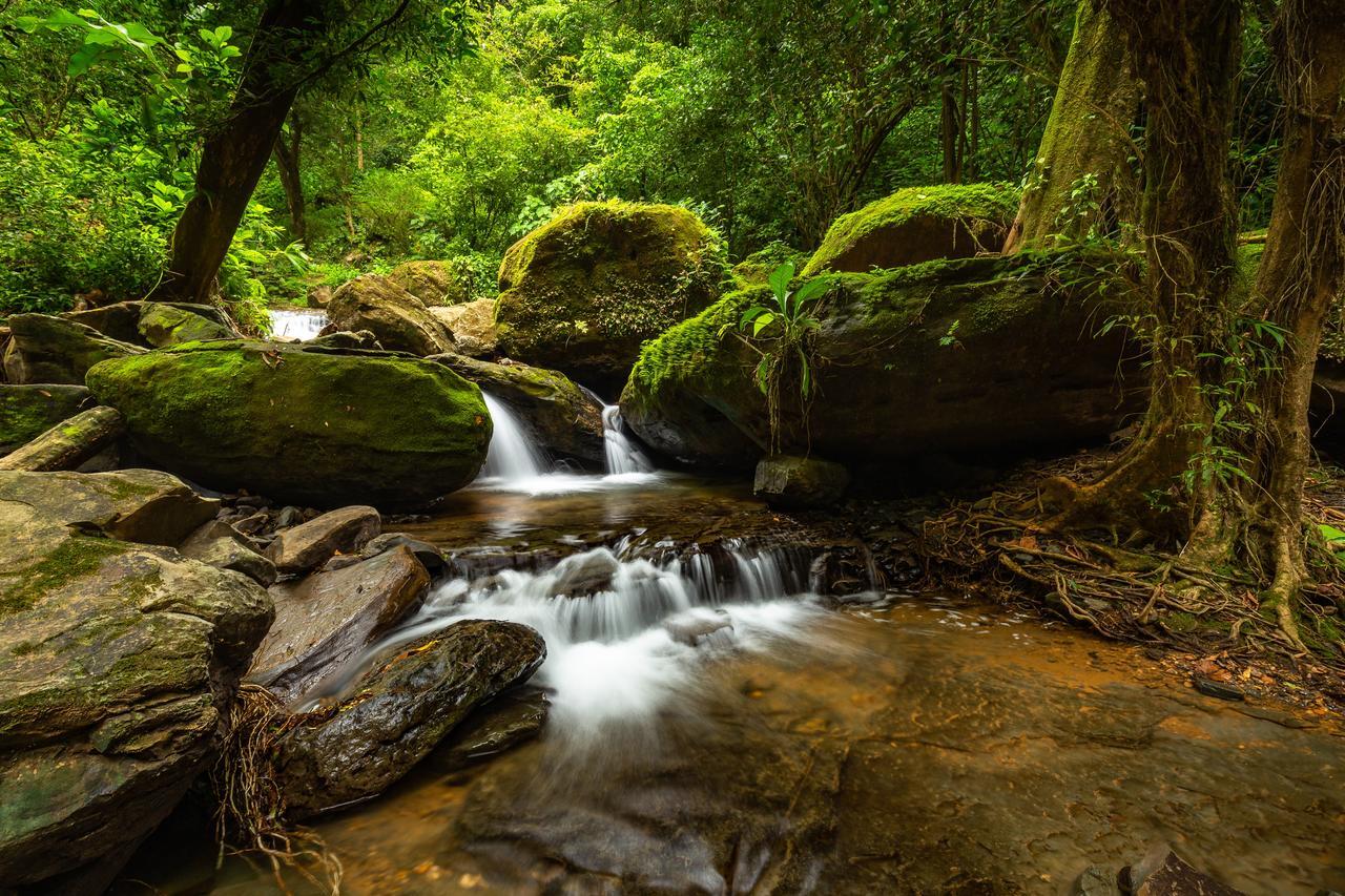 Cascada Elysiana Βίλα Platanillo Εξωτερικό φωτογραφία